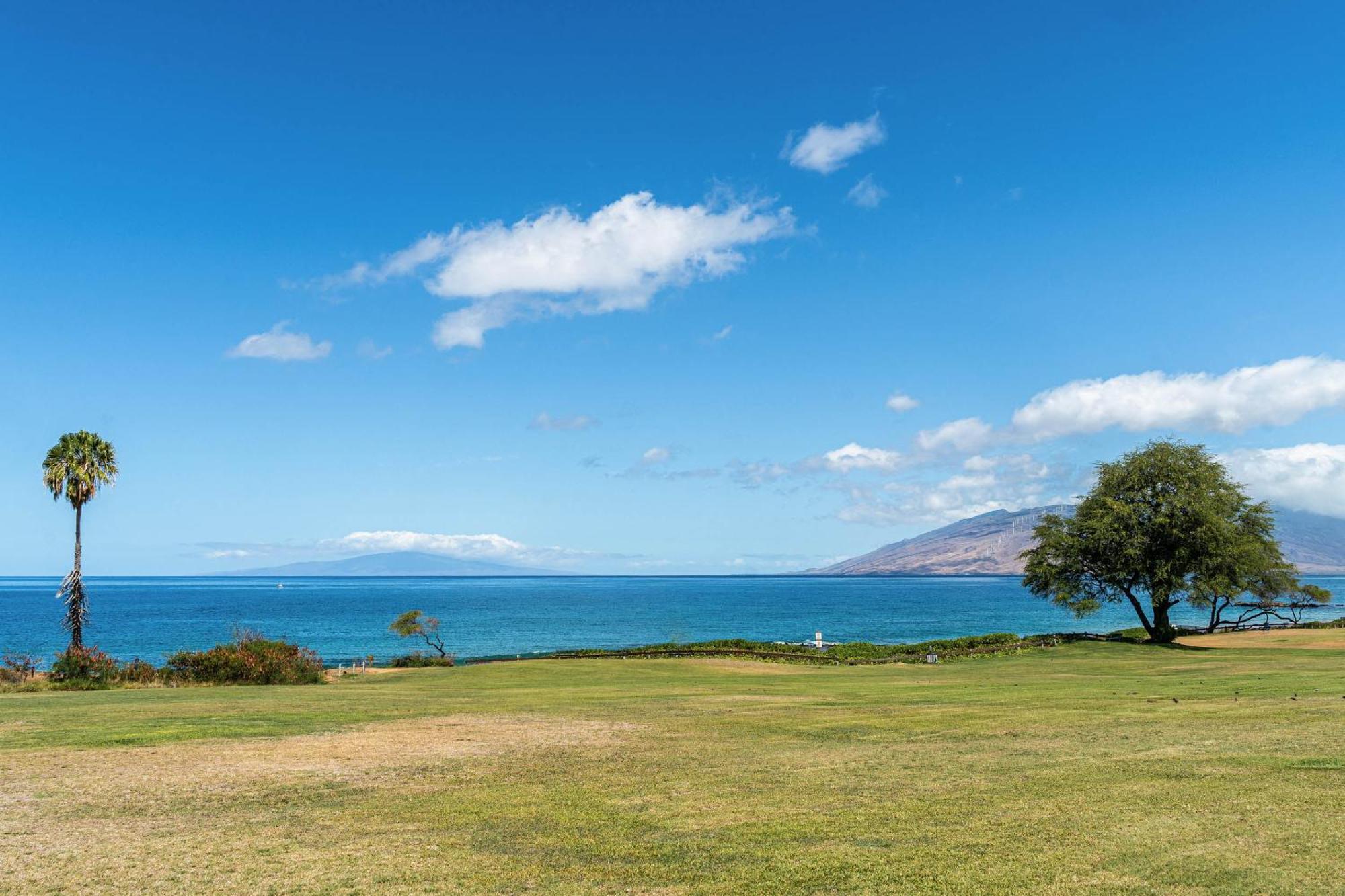 Апартаменти Maui Banyan Q-109 Вайлеа Екстер'єр фото